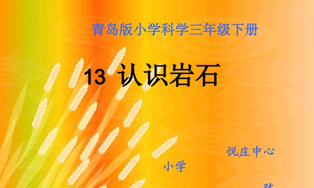 青岛小学科学三下《13 认识岩石》PPT课件 (3).ppt