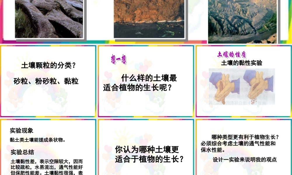 青岛小学科学三下《11 土壤的种类 》PPT课件 (2).ppt