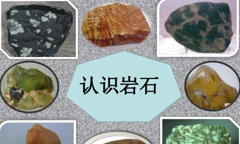 青岛小学科学三下《13 认识岩石》PPT课件 (4).ppt