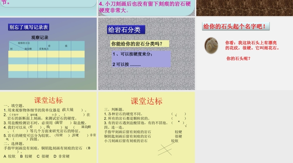 青岛小学科学三下《13 认识岩石》PPT课件 (4).ppt