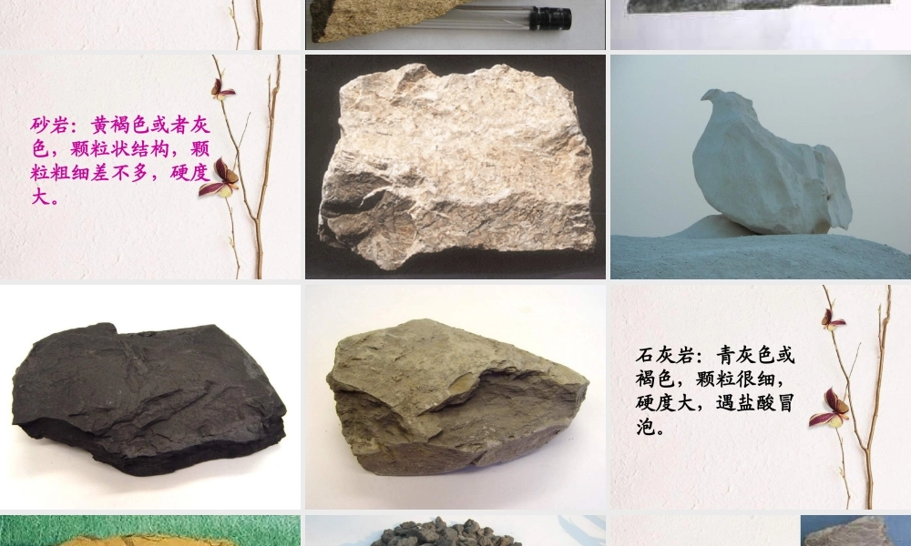 青岛小学科学三下《14 做个岩石百宝箱》PPT课件 (4).ppt