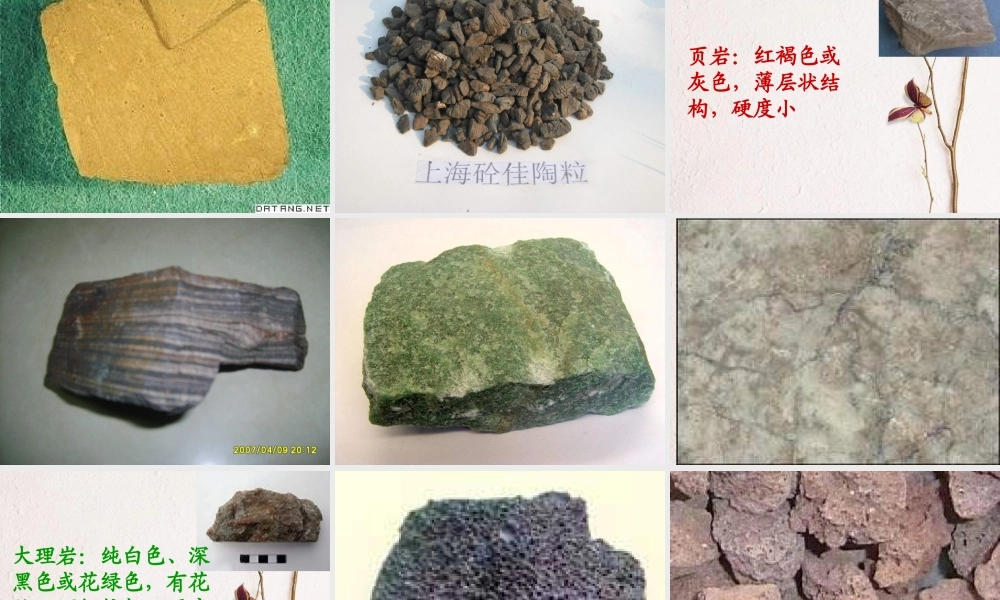 青岛小学科学三下《14 做个岩石百宝箱》PPT课件 (4).ppt