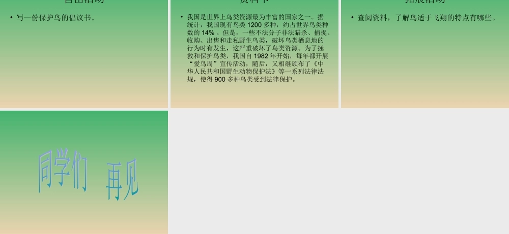 青岛小学科学三下《16 它们都是鸟》PPT课件 (2).ppt