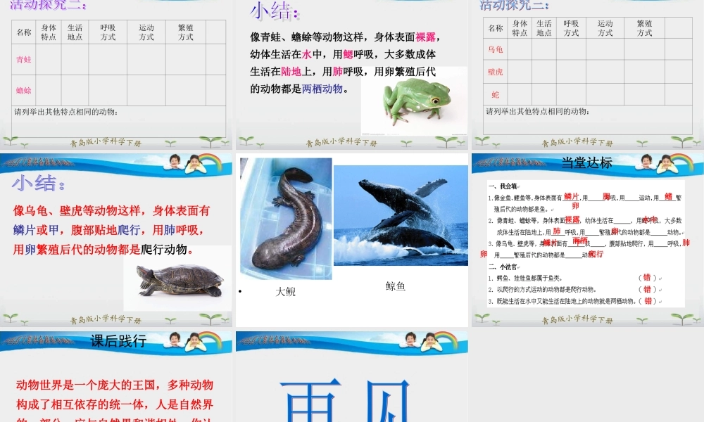青岛小学科学三下《18 多样的动物》PPT课件 (1) .ppt