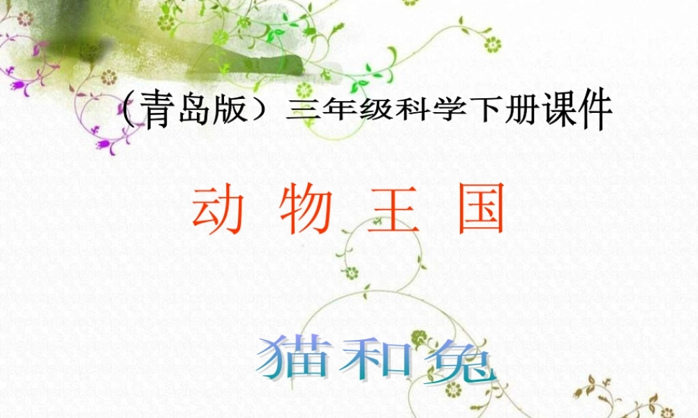 青岛小学科学三下《17 猫和兔》PPT课件 (1).ppt