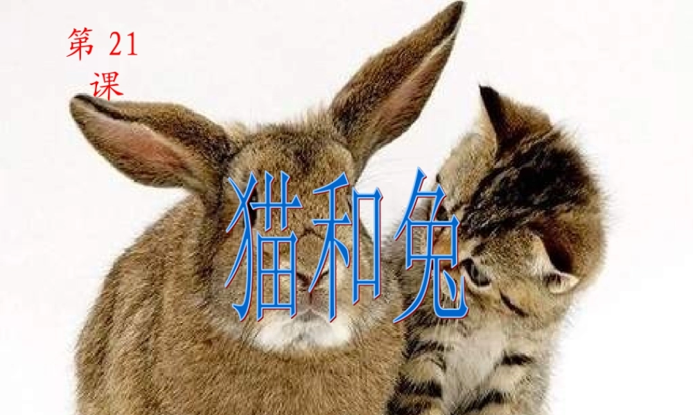 青岛小学科学三下《17 猫和兔》PPT课件 (2).ppt