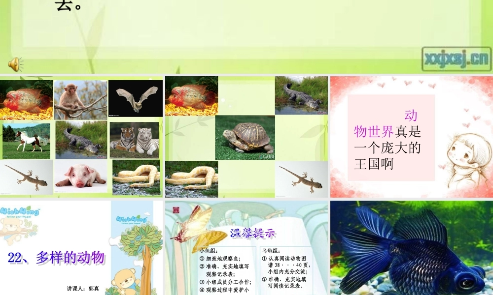 青岛小学科学三下《18 多样的动物》PPT课件 (3) .ppt