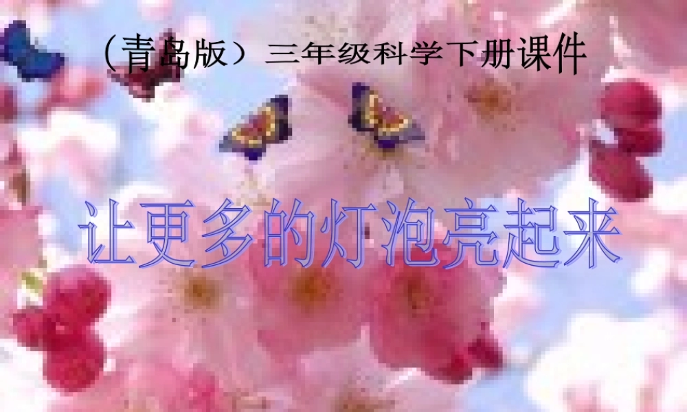 青岛小学科学三下《20 让更多的灯泡亮起来》PPT课件 (6).ppt