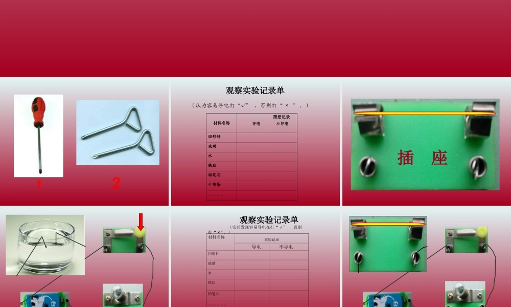 青岛小学科学三下《21 谁的本领大》PPT课件 (1).ppt