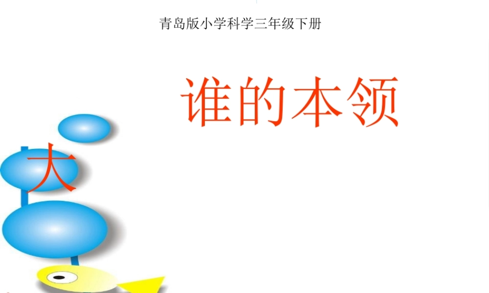 青岛小学科学三下《21 谁的本领大》PPT课件 (5).ppt