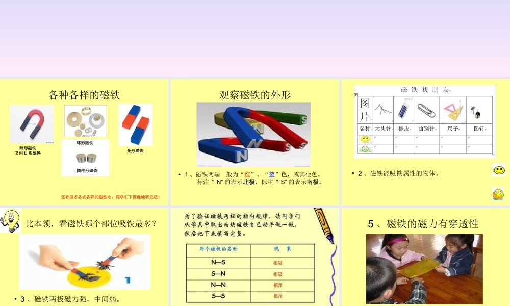 青岛小学科学三下《5 有趣的磁铁》PPT课件 (3).ppt