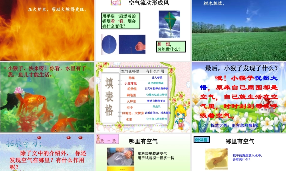 青岛小学科学三下《6 空气在哪里》PPT课件 (2).ppt