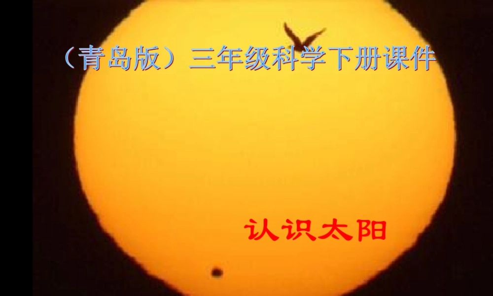 青岛小学科学三下《7 认识太阳》PPT课件 (5).ppt