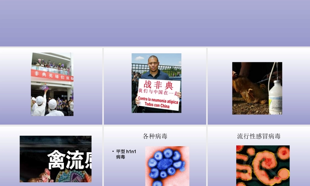 青岛小学科学五上《1 病毒》PPT课件 (2) 【虚拟宝库网www.xunibaoku.com】.ppt