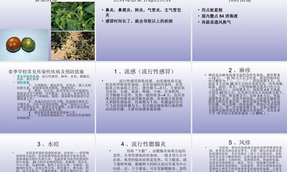 青岛小学科学五上《1 病毒》PPT课件 (2) 【虚拟宝库网www.xunibaoku.com】.ppt