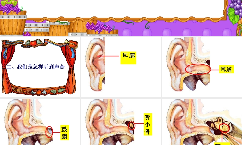 青岛小学科学五上《12 怎样听到声音》PPT课件 (2) 【虚拟宝库网www.xunibaoku.com】.ppt