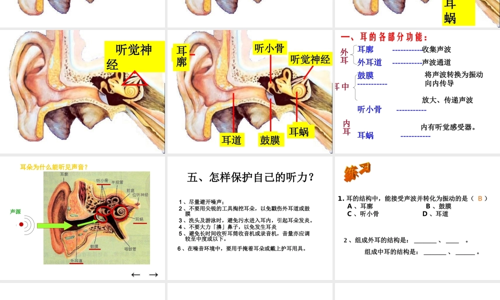 青岛小学科学五上《12 怎样听到声音》PPT课件 (2) 【虚拟宝库网www.xunibaoku.com】.ppt