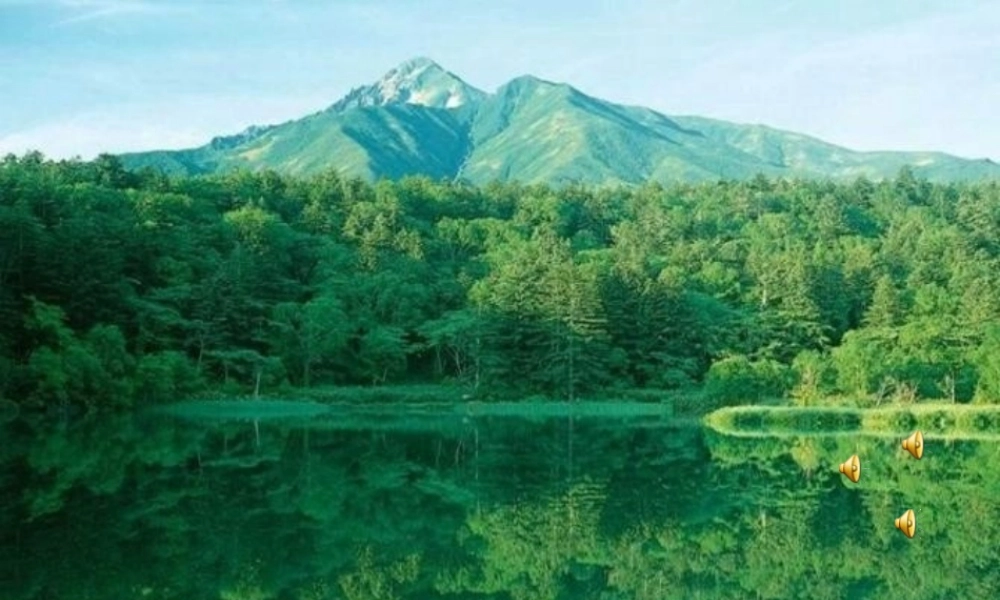 青岛小学科学五上《13 噪声的危害与防治》PPT课件 (5) 【虚拟宝库网www.xunibaoku.com】.ppt