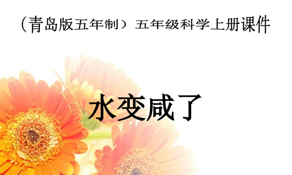 青岛小学科学五上《15.水变咸了》PPT课件 (4) 【虚拟宝库网www.xunibaoku.com】.ppt