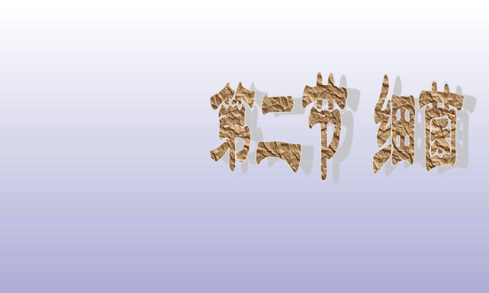 青岛小学科学五上《2 细菌》PPT课件 (3) 【虚拟宝库网www.xunibaoku.com】.ppt