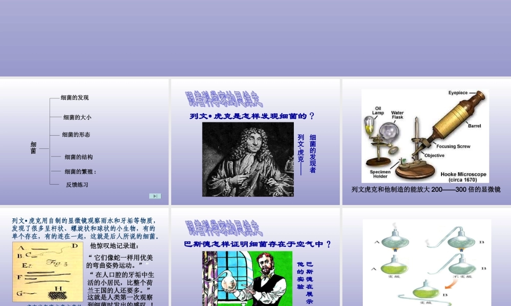 青岛小学科学五上《2 细菌》PPT课件 (3) 【虚拟宝库网www.xunibaoku.com】.ppt