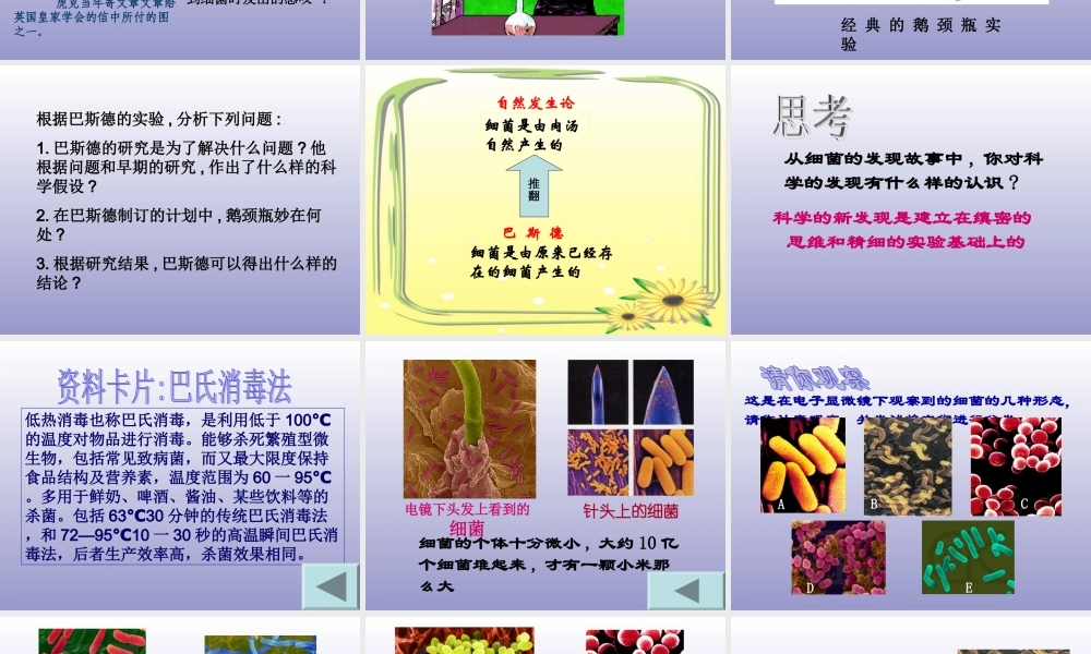 青岛小学科学五上《2 细菌》PPT课件 (3) 【虚拟宝库网www.xunibaoku.com】.ppt