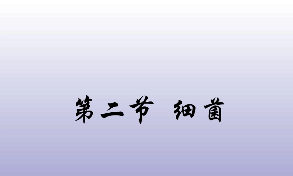 青岛小学科学五上《2 细菌》PPT课件 (2) 【虚拟宝库网www.xunibaoku.com】.ppt