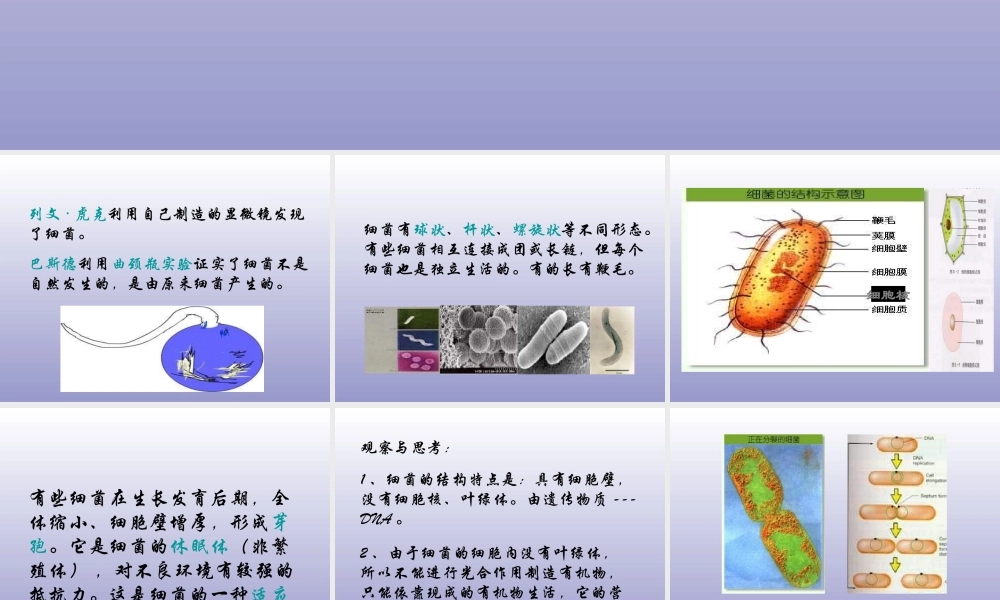 青岛小学科学五上《2 细菌》PPT课件 (2) 【虚拟宝库网www.xunibaoku.com】.ppt