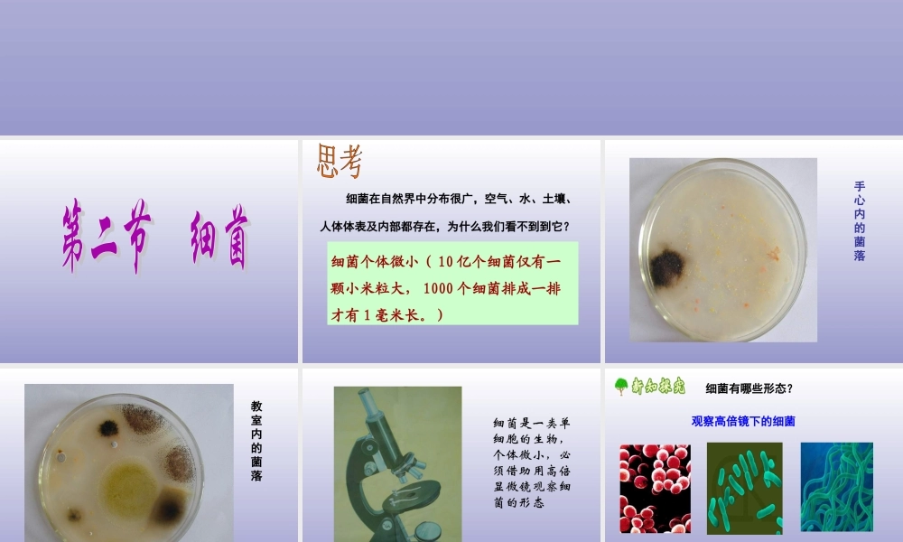青岛小学科学五上《2 细菌》PPT课件 (4) 【虚拟宝库网www.xunibaoku.com】.ppt