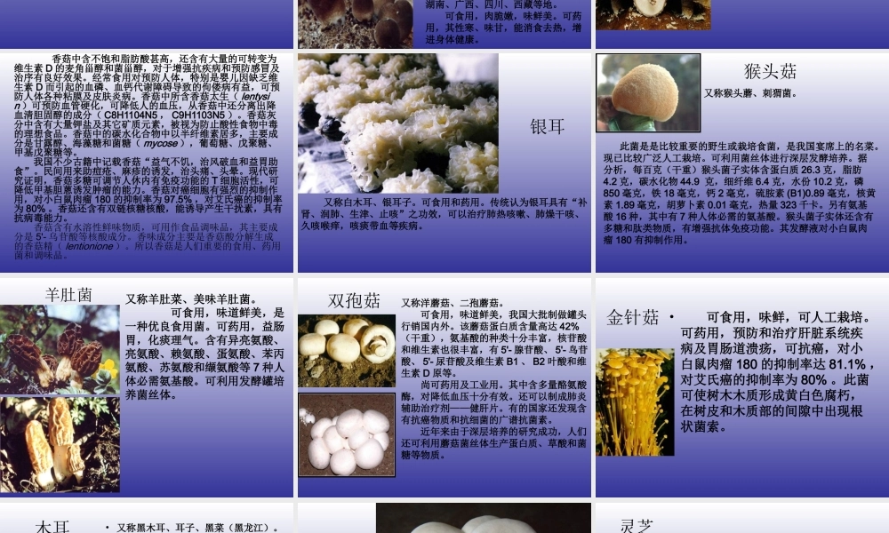 青岛小学科学五上《3 食用菌》PPT课件 (2)【虚拟宝库网www.xunibaoku.com】.ppt