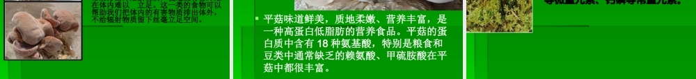 青岛小学科学五上《3 食用菌》PPT课件 (3)【虚拟宝库网www.xunibaoku.com】.ppt