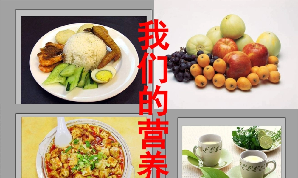 青岛小学科学五上《5 我们的营养》PPT课件 (1)【虚拟宝库网www.xunibaoku.com】.ppt