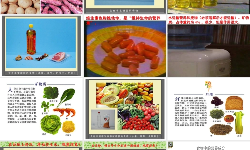 青岛小学科学五上《5 我们的营养》PPT课件 (1)【虚拟宝库网www.xunibaoku.com】.ppt