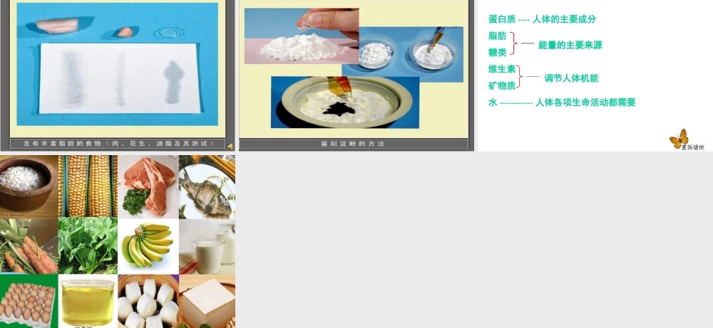 青岛小学科学五上《5 我们的营养》PPT课件 (1)【虚拟宝库网www.xunibaoku.com】.ppt