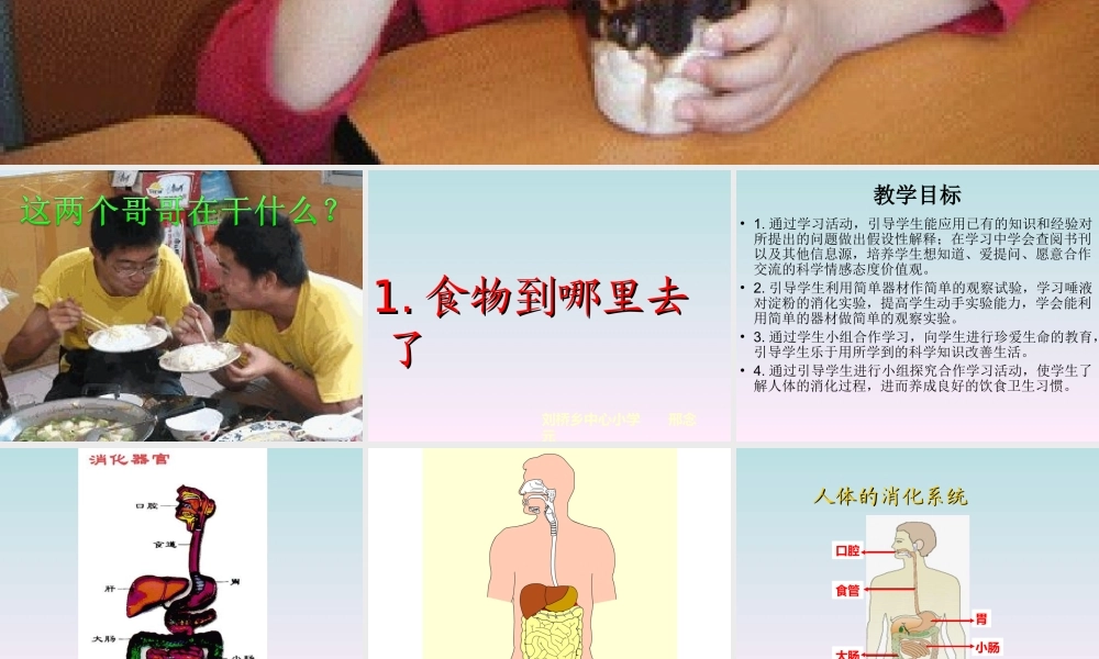 青岛小学科学五上《6 食物到哪里去了》PPT课件 (1)【虚拟宝库网www.xunibaoku.com】.ppt