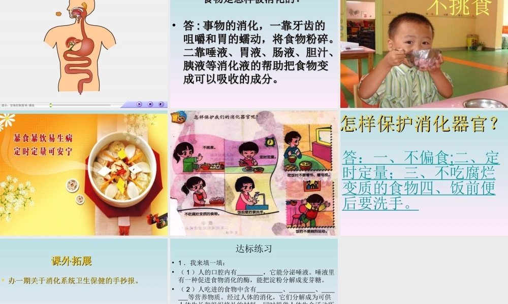 青岛小学科学五上《6 食物到哪里去了》PPT课件 (1)【虚拟宝库网www.xunibaoku.com】.ppt