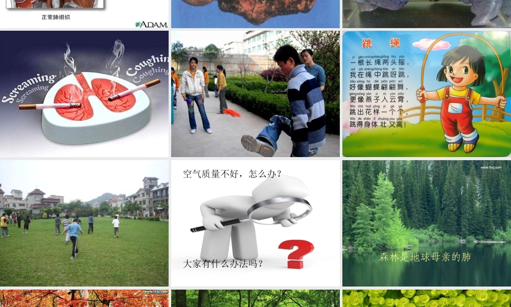 青岛小学科学五上《7 我们的呼吸》PPT课 件 (1) 【虚拟宝库网www.xunibaoku.com】.ppt