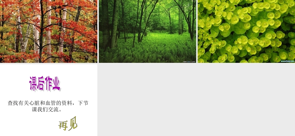 青岛小学科学五上《7 我们的呼吸》PPT课 件 (1) 【虚拟宝库网www.xunibaoku.com】.ppt