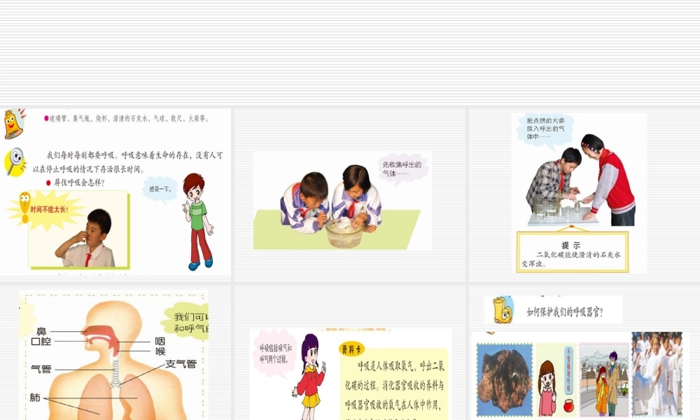 青岛小学科学五上《7 我们的呼吸》PPT课 件 (2) 【虚拟宝库网www.xunibaoku.com】.ppt