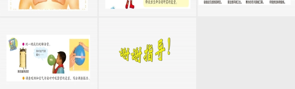 青岛小学科学五上《7 我们的呼吸》PPT课 件 (2) 【虚拟宝库网www.xunibaoku.com】.ppt