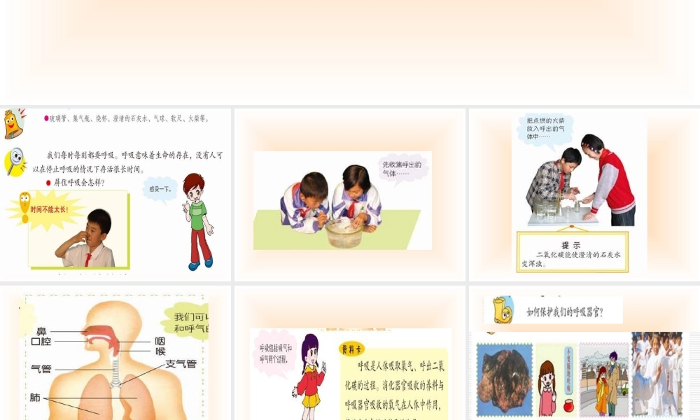 青岛小学科学五上《7 我们的呼吸》PPT课 件 (6) 【虚拟宝库网www.xunibaoku.com】.ppt