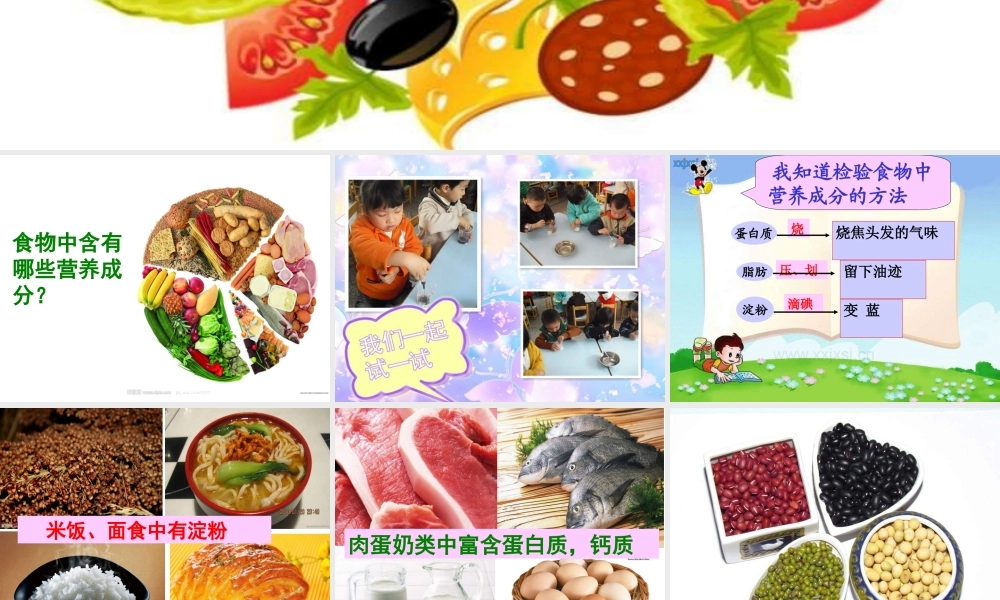 青岛小学科学五上《5 我们的营养》PPT课件 (3)【虚拟宝库网www.xunibaoku.com】.ppt