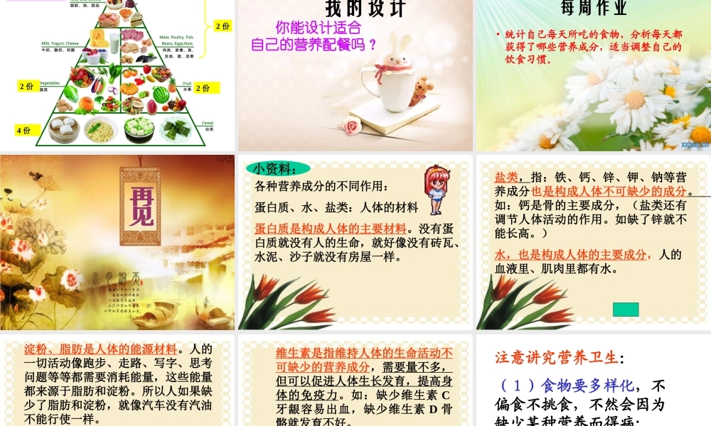 青岛小学科学五上《5 我们的营养》PPT课件 (3)【虚拟宝库网www.xunibaoku.com】.ppt