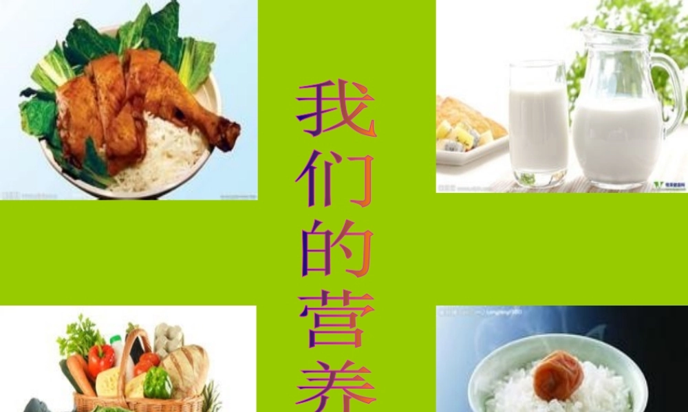 青岛小学科学五上《5 我们的营养》PPT课件 (2)【虚拟宝库网www.xunibaoku.com】.ppt