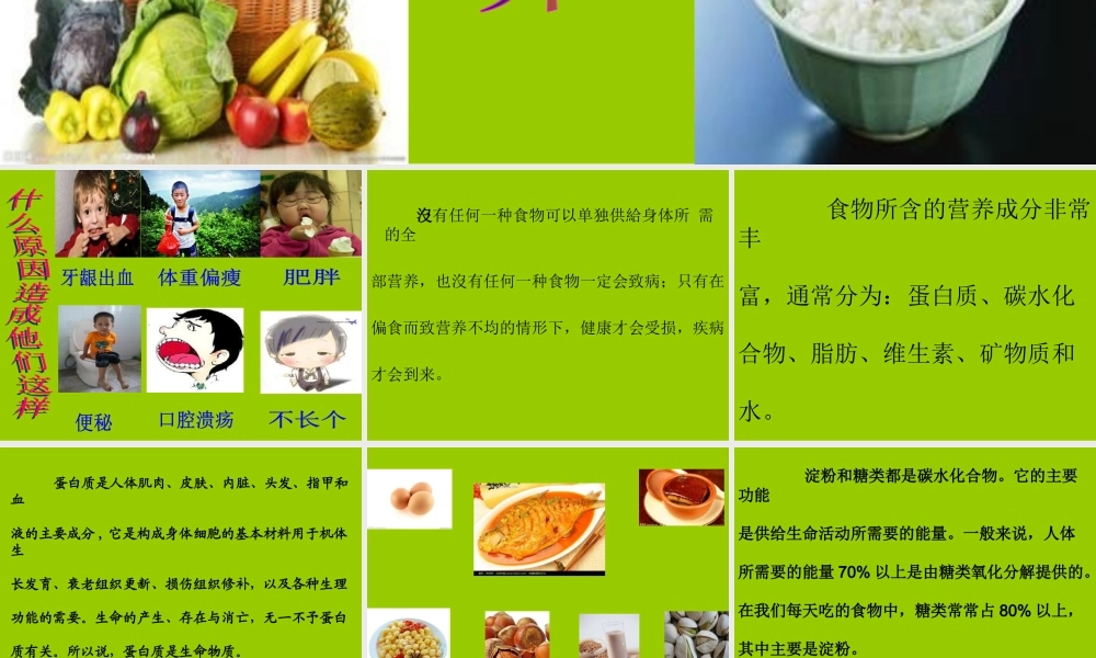 青岛小学科学五上《5 我们的营养》PPT课件 (2)【虚拟宝库网www.xunibaoku.com】.ppt
