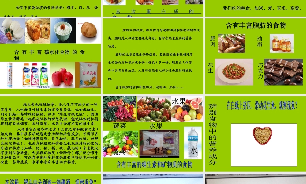 青岛小学科学五上《5 我们的营养》PPT课件 (2)【虚拟宝库网www.xunibaoku.com】.ppt