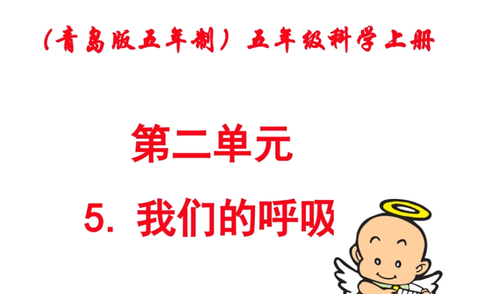 青岛小学科学五上《7 我们的呼吸》PPT课 件 (5) 【虚拟宝库网www.xunibaoku.com】.ppt