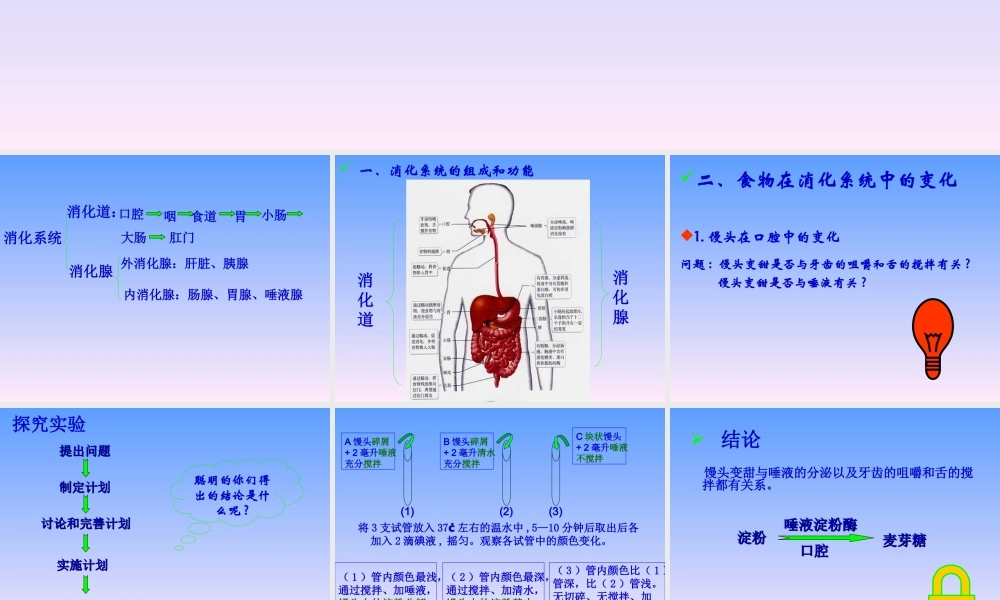 青岛小学科学五上《6 食物到哪里去了》PPT课件 (2)【虚拟宝库网www.xunibaoku.com】.ppt