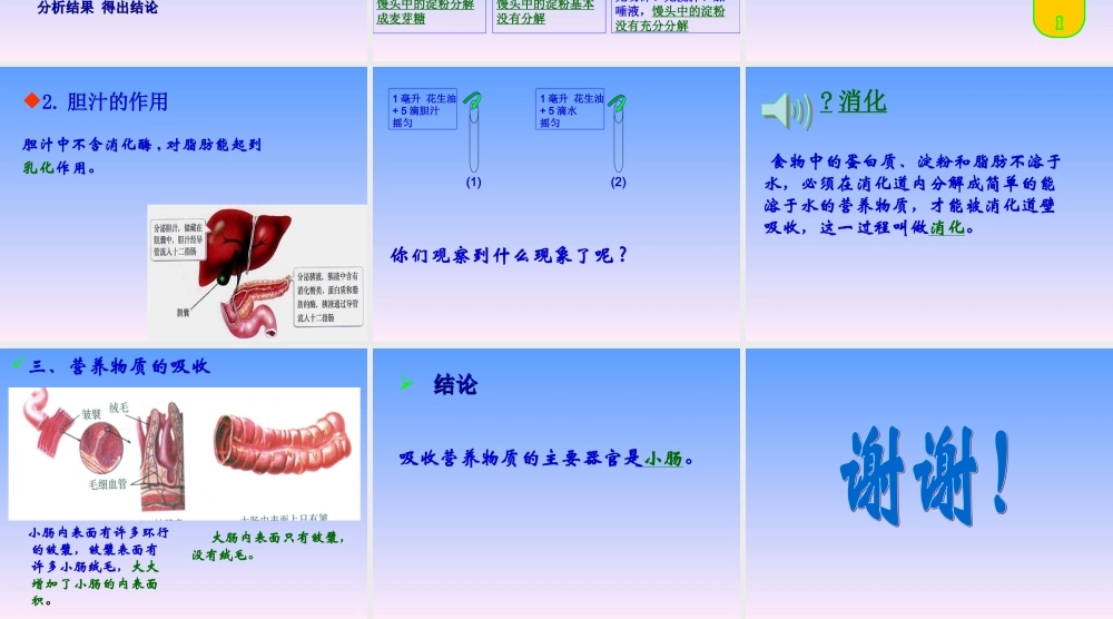 青岛小学科学五上《6 食物到哪里去了》PPT课件 (2)【虚拟宝库网www.xunibaoku.com】.ppt