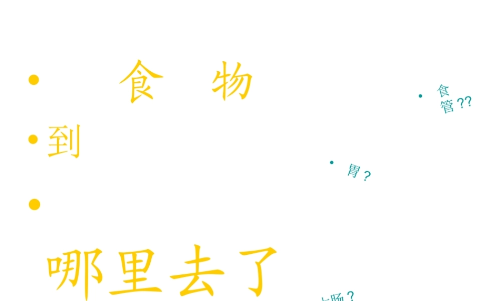青岛小学科学五上《6 食物到哪里去了》PPT课件 (3)【虚拟宝库网www.xunibaoku.com】.ppt